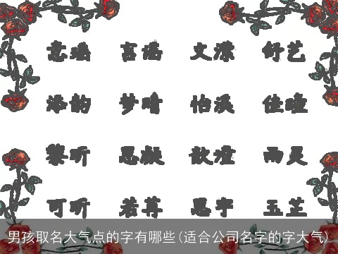 男孩取名大气点的字有哪些(适合公司名字的字大气)