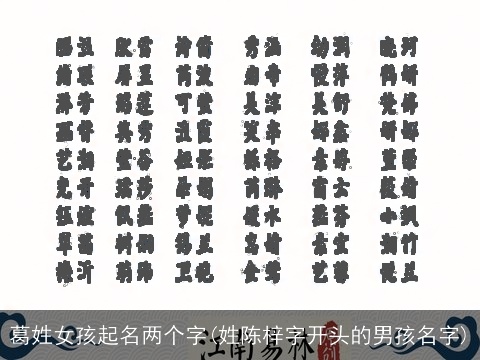 葛姓女孩起名两个字(姓陈梓字开头的男孩名字)