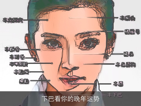 下巴看你的晚年运势