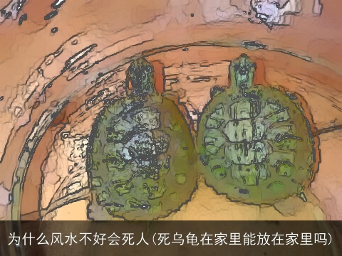 为什么风水不好会死人(死乌龟在家里能放在家里吗)