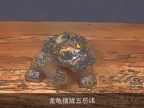 龙龟摆放五忌讳