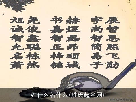 姓什么名什么(姓氏起名网)