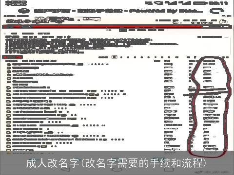 成人改名字(改名字需要的手续和流程)