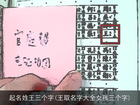 起名姓王三个字(王取名字大全女孩三个字)