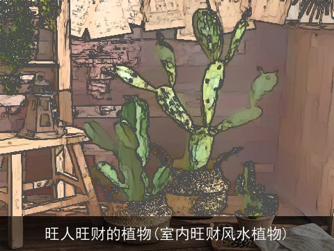 旺人旺财的植物(室内旺财风水植物)