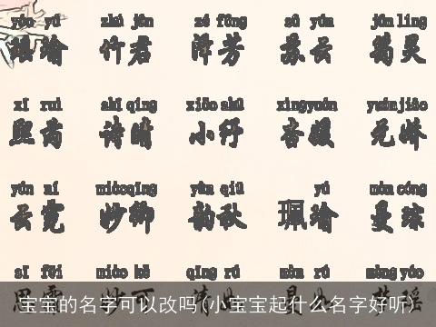 宝宝的名字可以改吗(小宝宝起什么名字好听)