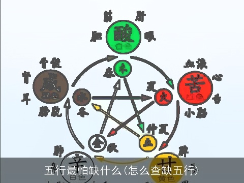 五行最怕缺什么(怎么查缺五行)