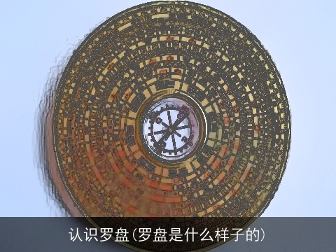 认识罗盘(罗盘是什么样子的)