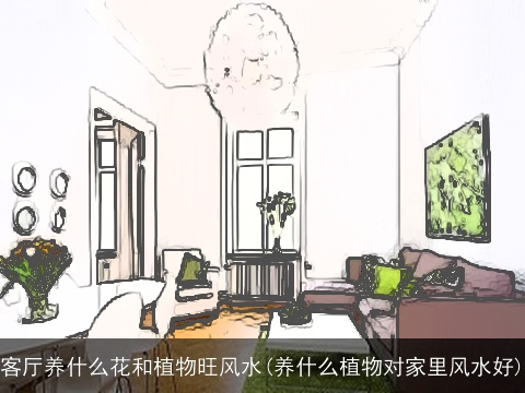 客厅养什么花和植物旺风水(养什么植物对家里风水好)