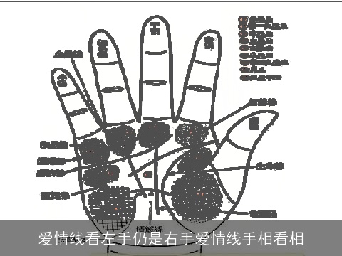 爱情线看左手仍是右手爱情线手相看相