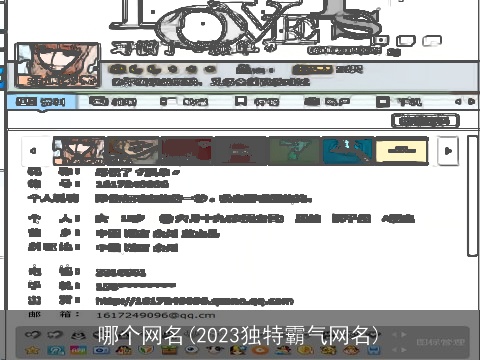 哪个网名(2023独特霸气网名)