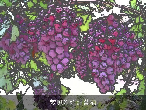 梦见吃烂甜葡萄