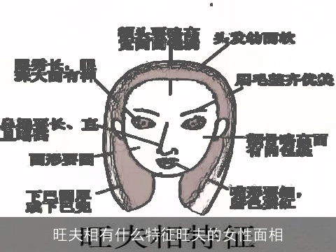 旺夫相有什么特征旺夫的女性面相