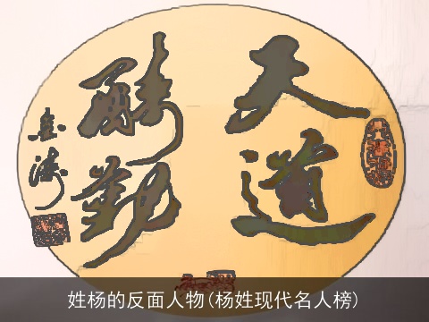 姓杨的反面人物(杨姓现代名人榜)