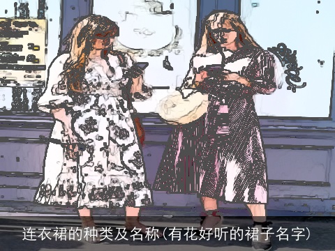 连衣裙的种类及名称(有花好听的裙子名字)