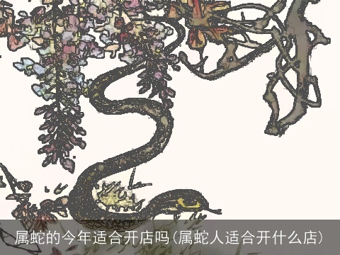 属蛇的今年适合开店吗(属蛇人适合开什么店)