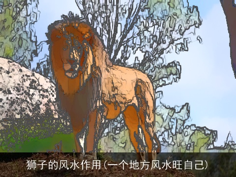 狮子的风水作用(一个地方风水旺自己)