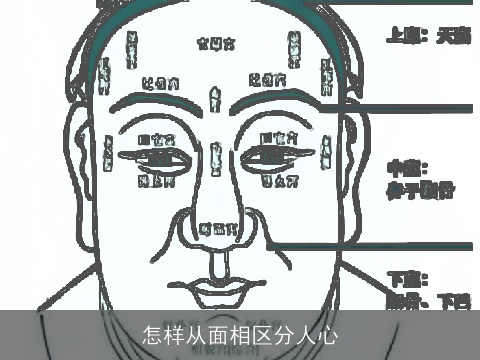怎样从面相区分人心