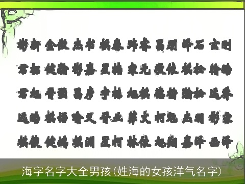 海字名字大全男孩(姓海的女孩洋气名字)