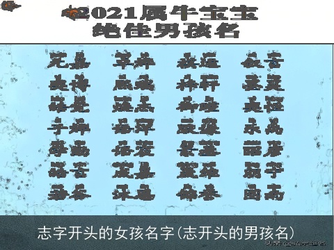 志字开头的女孩名字(志开头的男孩名)