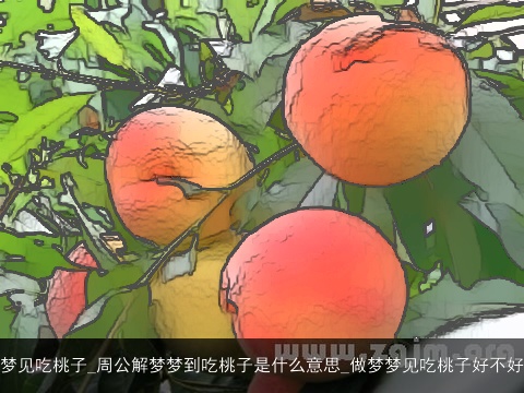 梦见吃桃子_周公解梦梦到吃桃子是什么意思_做梦梦见吃桃子好不好