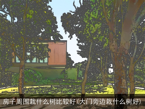 房子周围栽什么树比较好(大门旁边栽什么树好)