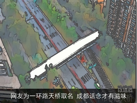 网友为一环路天桥取名 成都话念才有滋味