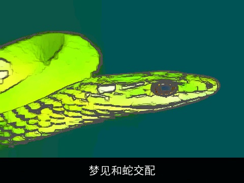 梦见和蛇交配