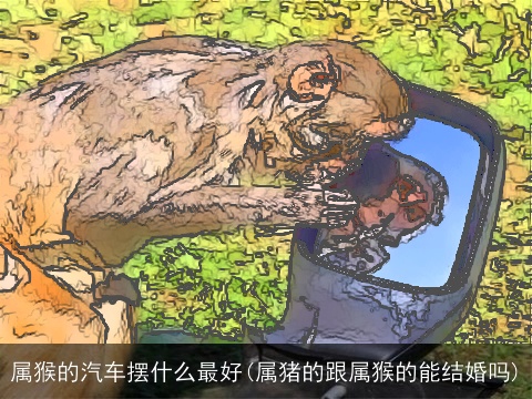 属猴的汽车摆什么最好(属猪的跟属猴的能结婚吗)