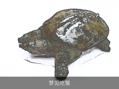 梦见吃鳖
