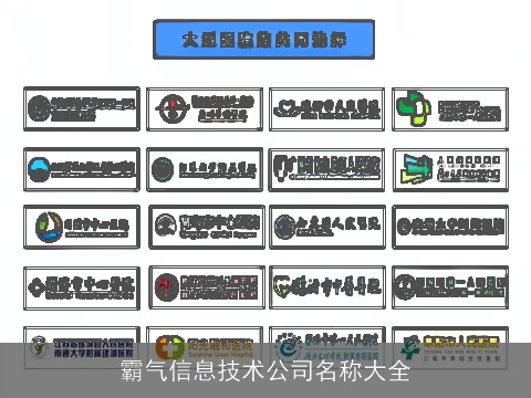 霸气信息技术公司名称大全