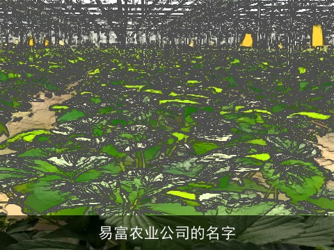 易富农业公司的名字