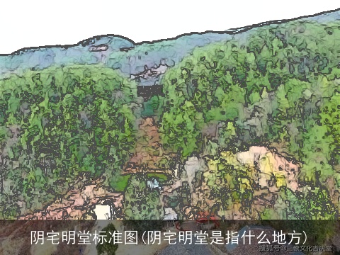 阴宅明堂标准图(阴宅明堂是指什么地方)