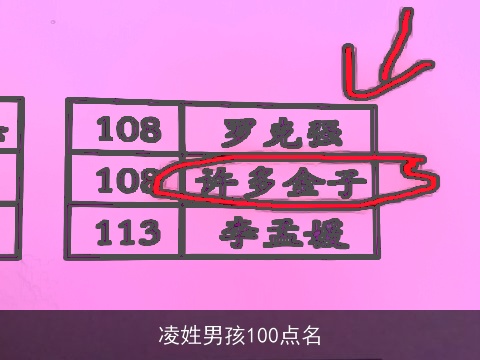 凌姓男孩100点名