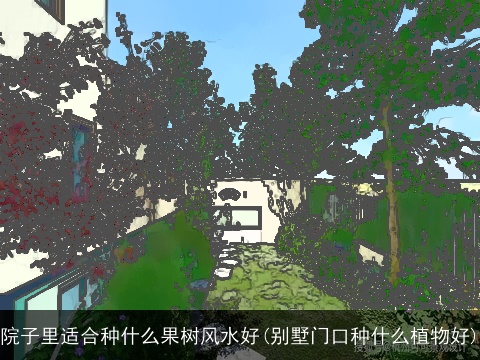 院子里适合种什么果树风水好(别墅门口种什么植物好)