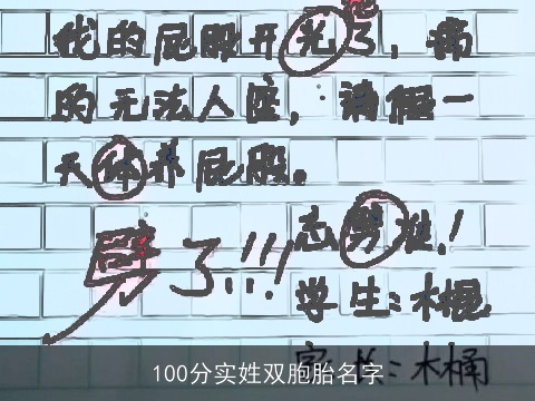 100分实姓双胞胎名字