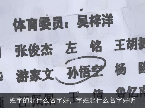 姓宇的起什么名字好，宇姓起什么名字好听