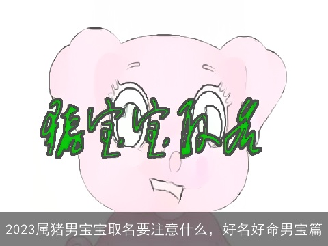 2023属猪男宝宝取名要注意什么，好名好命男宝篇