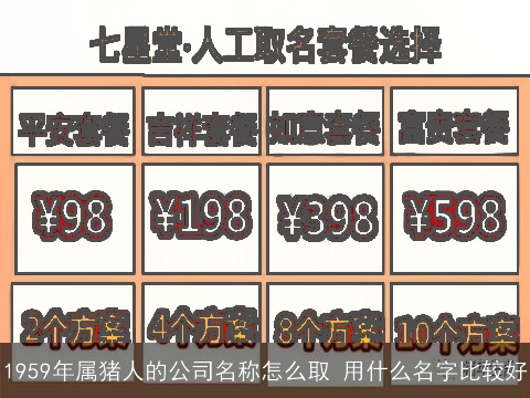 1959年属猪人的公司名称怎么取 用什么名字比较好