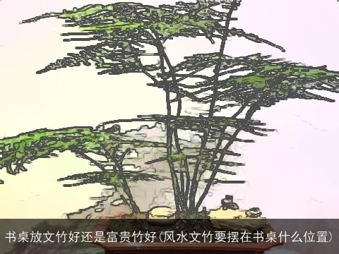 书桌放文竹好还是富贵竹好(风水文竹要摆在书桌什么位置)