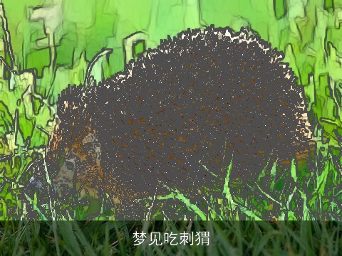 梦见吃刺猬