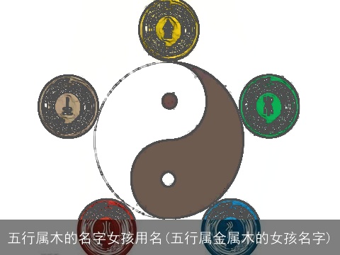 五行属木的名字女孩用名(五行属金属木的女孩名字)