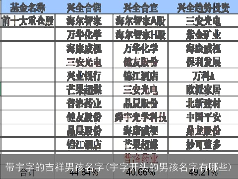 带宇字的吉祥男孩名字(宇字开头的男孩名字有哪些)