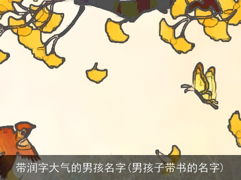 带润字大气的男孩名字(男孩子带书的名字)