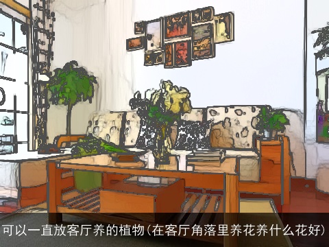 可以一直放客厅养的植物(在客厅角落里养花养什么花好)