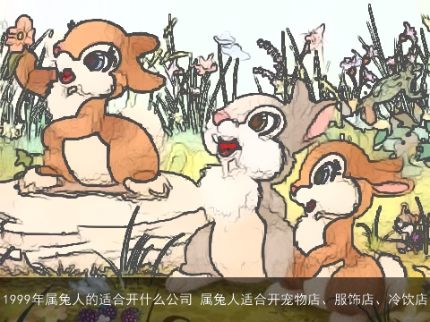 1999年属兔人的适合开什么公司 属兔人适合开宠物店、服饰店、冷饮店