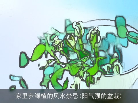 家里养绿植的风水禁忌(阳气强的盆栽)