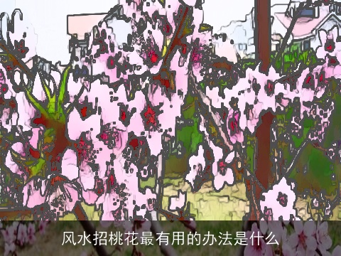 风水招桃花最有用的办法是什么