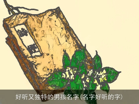 好听又独特的男孩名字(名字好听的字)