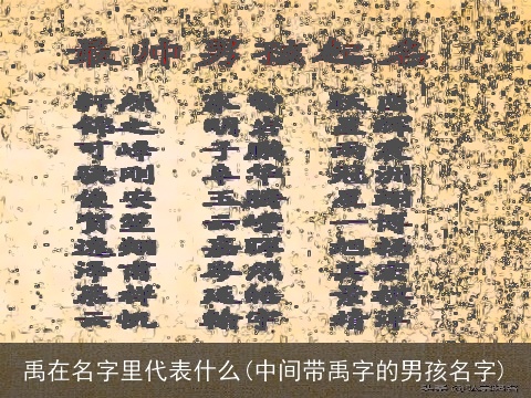禹在名字里代表什么(中间带禹字的男孩名字)